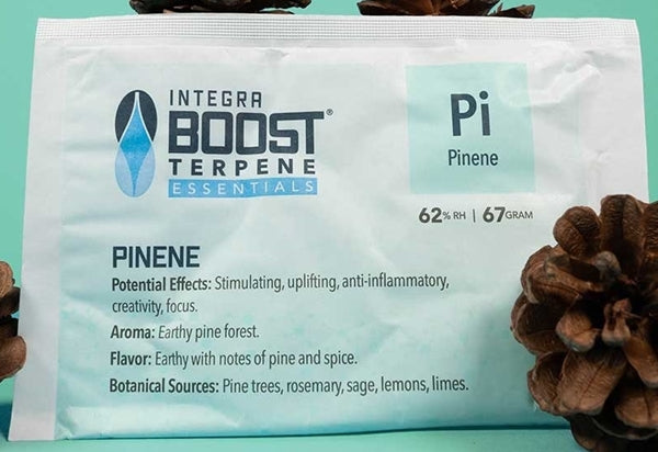 Integra Boost Terpene Essentials - 67g - 62% - Pinene