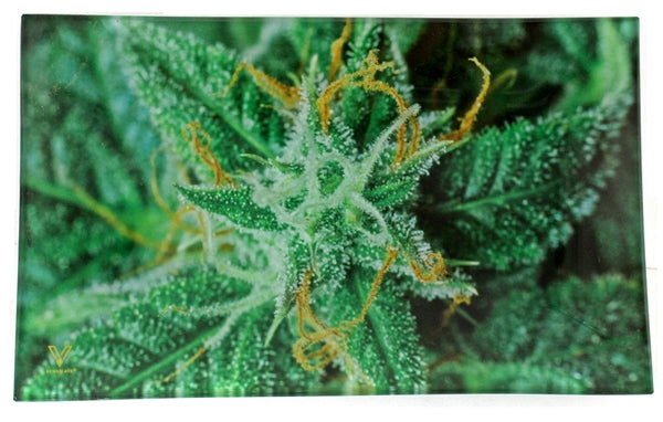 V Syndicate Tempered Shatter Resistant Glass Rolling Tray - Medium