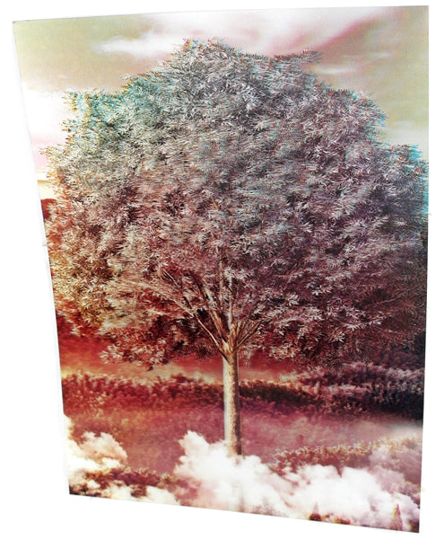 3ct Lenticular 3D Image Holographic Poster - Tree Seasons