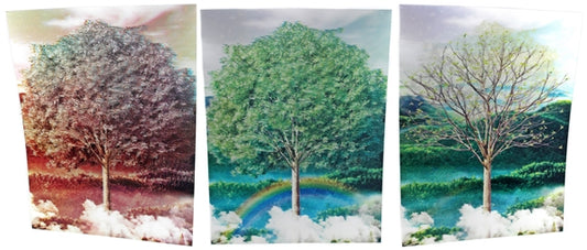 3ct Lenticular 3D Image Holographic Poster - Tree Seasons