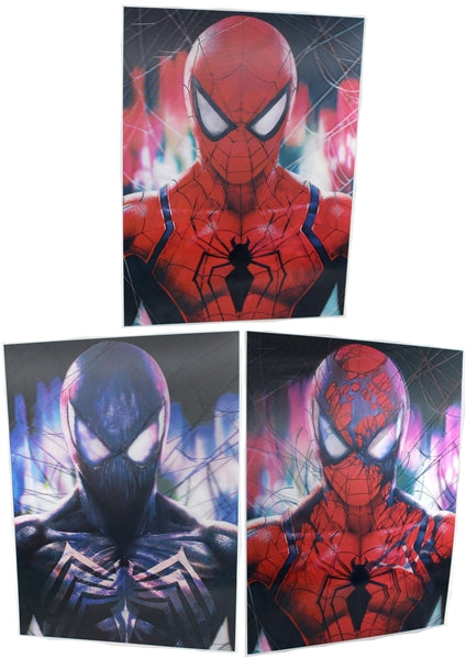 3ct Lenticular 3D Image Holographic Poster - Spider-Man