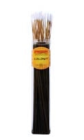 Wild Berry Incense Sticks 50pk Biggies - Coconut