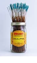 Wild Berry Incense Sticks 100pk - Eucalyptus