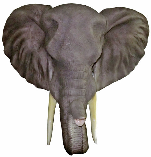 20" Sahara (Elephant Head)