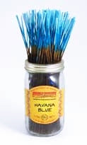 Wild Berry Incense Sticks 100pk - Havana Blue