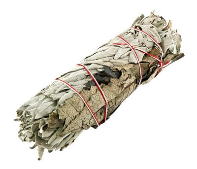 5ct Yerba Santa and White Sage Smudge Stick - 5"L