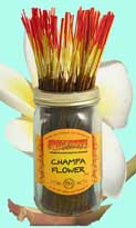 Wild Berry Incense Sticks 100pk - Champa Flower