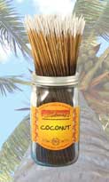 Wild Berry Incense Sticks 100pk - Coconut